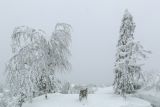 Каменный Город, image of landscape/habitat.