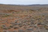 Image of landscape