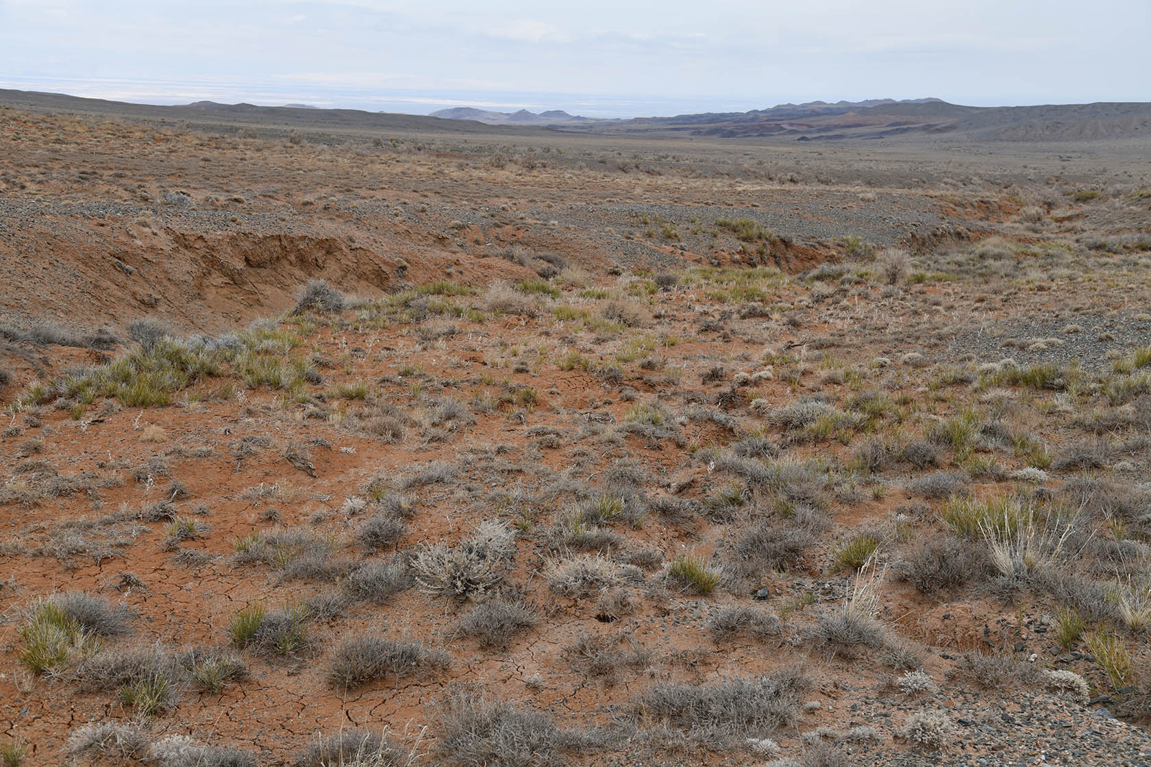 Горы Улькен-Богуты, image of landscape/habitat.