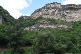 Image of landscape