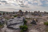 Дорога на Териберку, image of landscape/habitat.