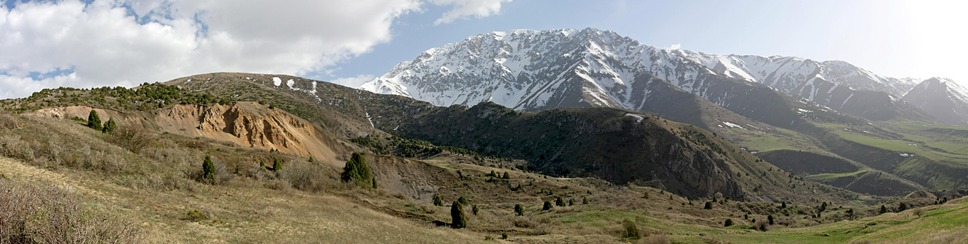 Домик Тризны, image of landscape/habitat.