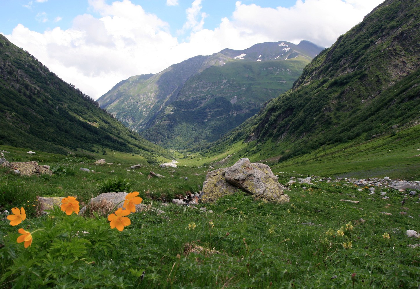 Долина реки Киша, image of landscape/habitat.