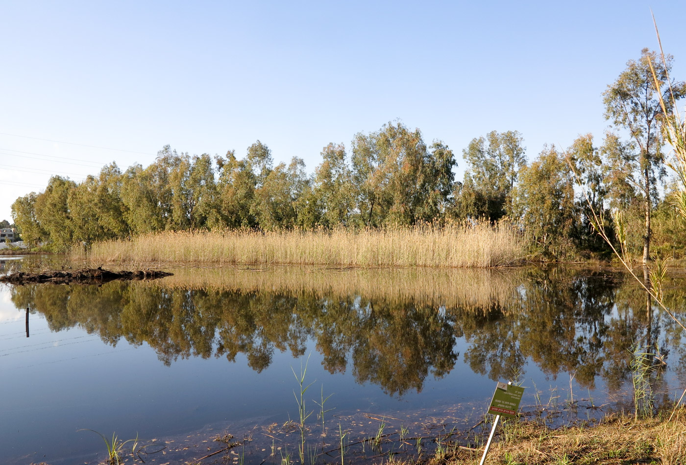 Герцлия и окрестности, image of landscape/habitat.