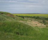 Дубовый Рынок, image of landscape/habitat.