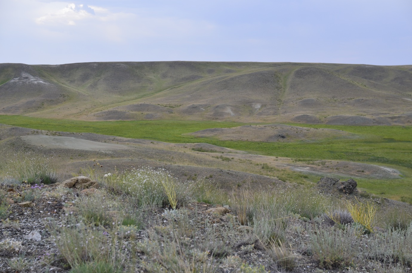 Меловая гора Дюртель, image of landscape/habitat.