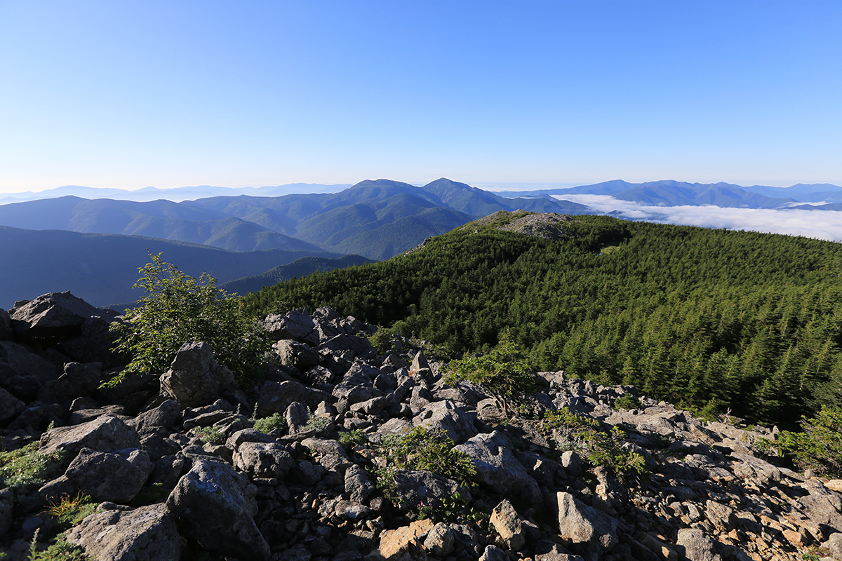 Гора Ольховая, image of landscape/habitat.