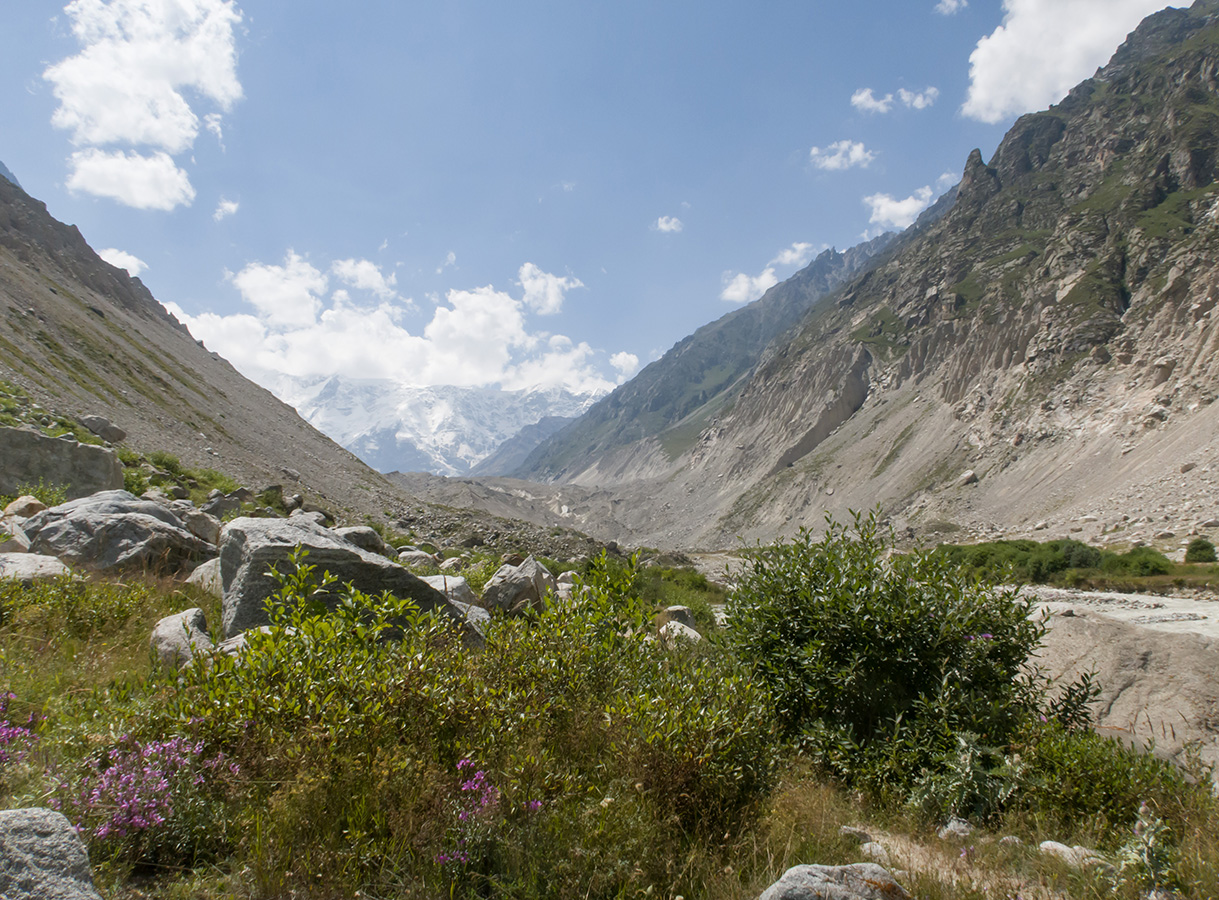 Черек-Безенгийское ущелье, image of landscape/habitat.