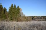 Image of landscape