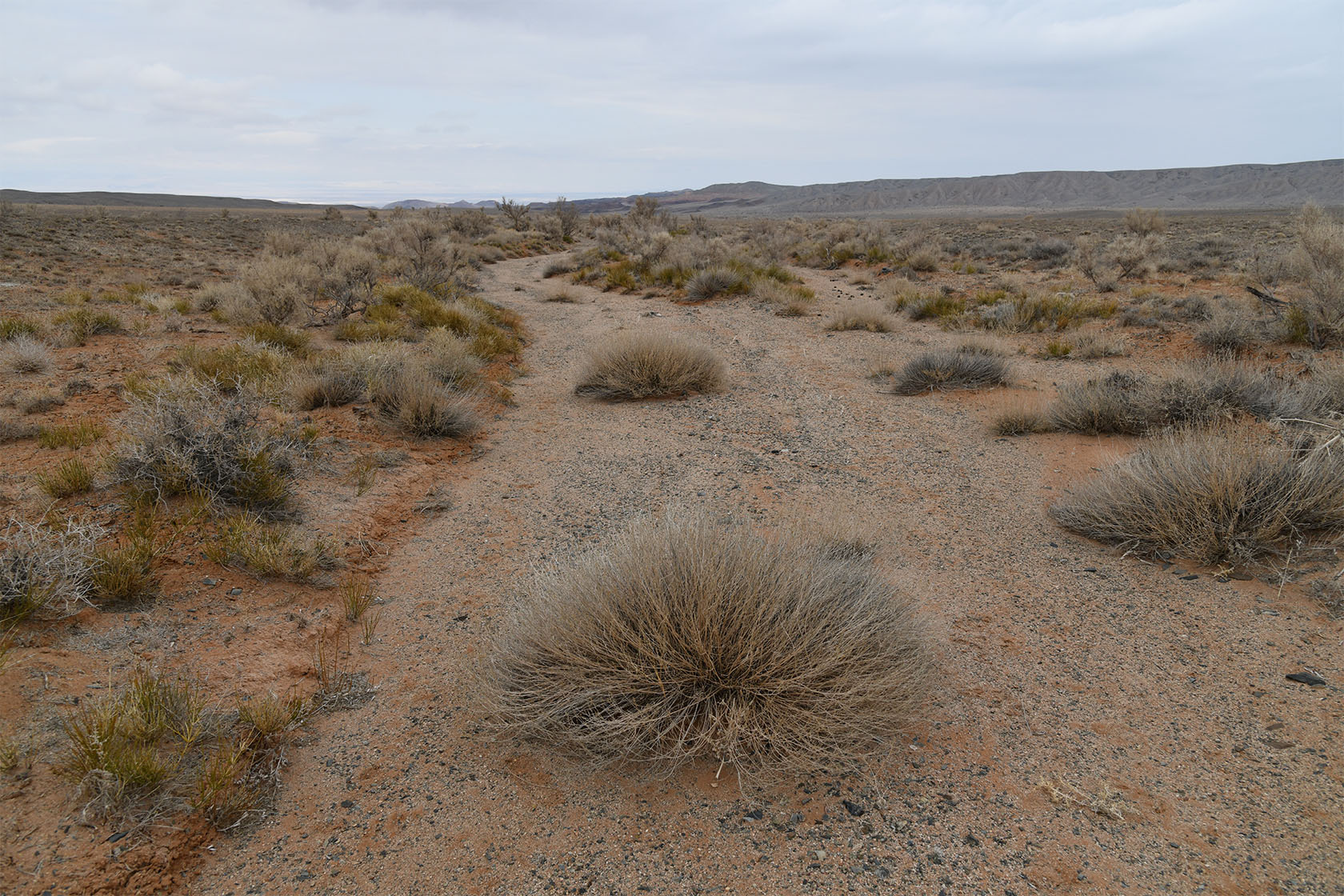 Горы Улькен-Богуты, image of landscape/habitat.