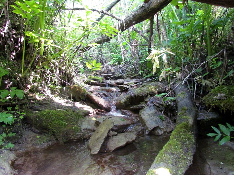 Бердские скалы, image of landscape/habitat.