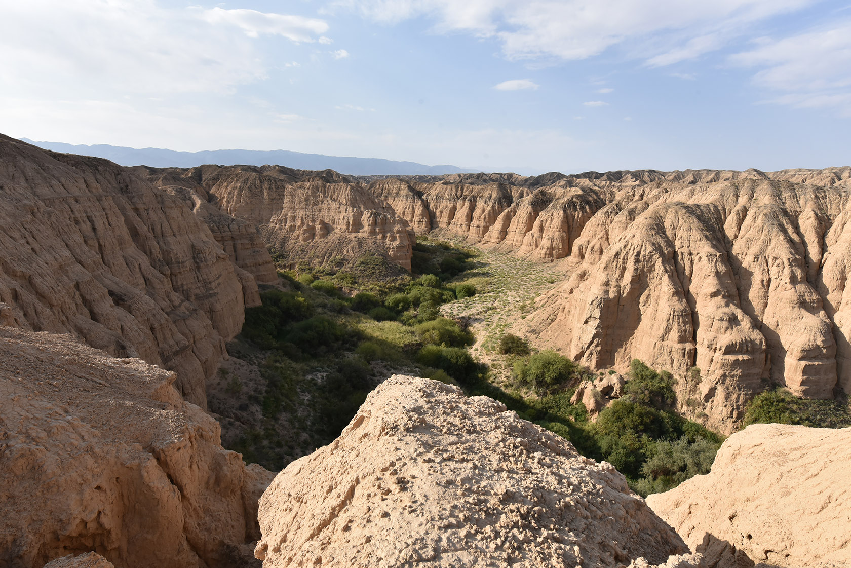 Чарын, image of landscape/habitat.