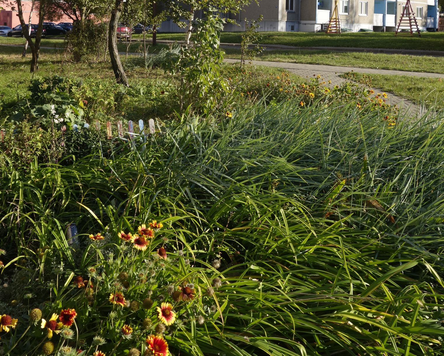 Девятовка, image of landscape/habitat.