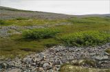 Image of landscape