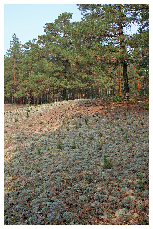 Саралы, image of landscape/habitat.