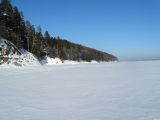 Большой бор, image of landscape/habitat.