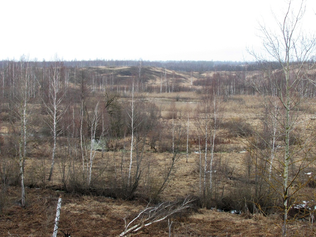 Жарь, image of landscape/habitat.