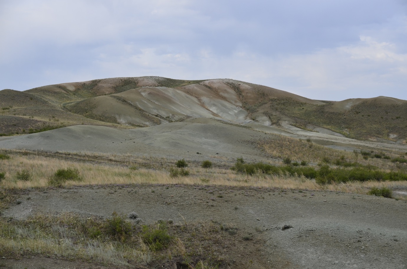 Меловая гора Дюртель, image of landscape/habitat.