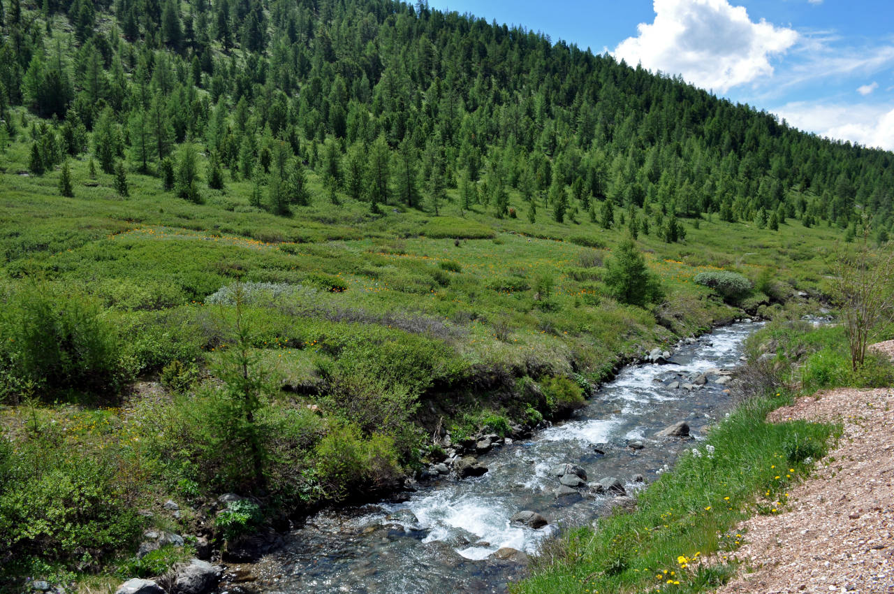 Долина реки Ярлы-Амры, изображение ландшафта.