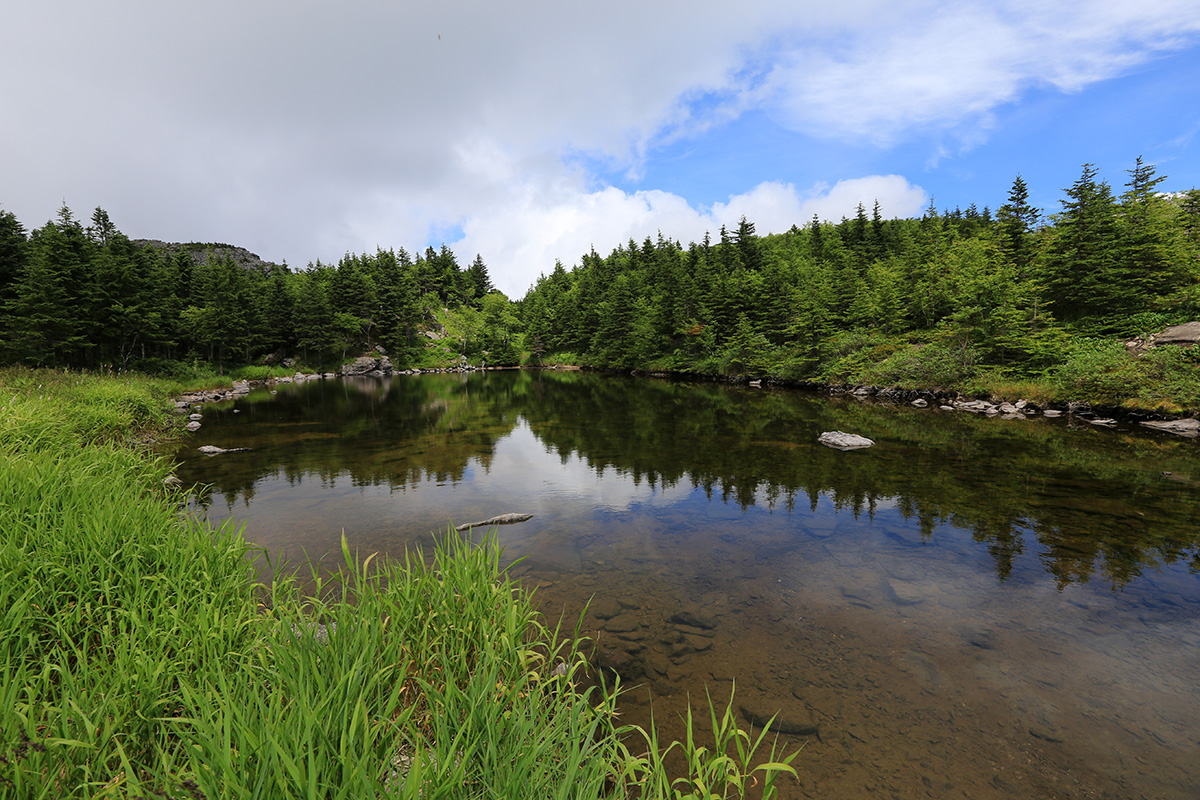 Гора Ольховая, image of landscape/habitat.