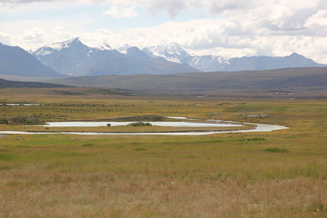 Окрестности кургана Ак-Алаха 3, image of landscape/habitat.