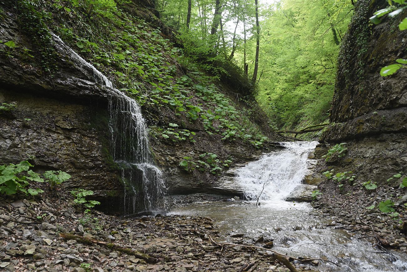 Два Водопада и окрестности, image of landscape/habitat.