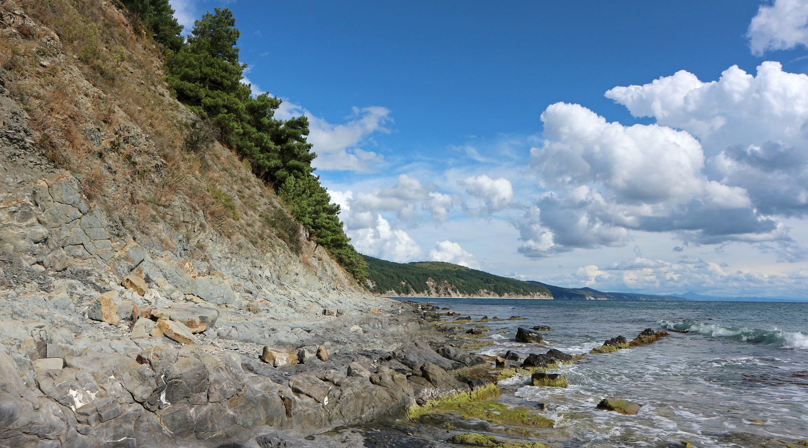 Побережье Бетта - Криница, image of landscape/habitat.