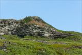 Малая Волоковая губа, image of landscape/habitat.