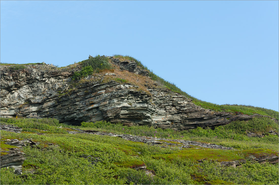 Малая Волоковая губа, image of landscape/habitat.