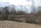 Image of landscape