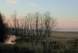 Image of landscape