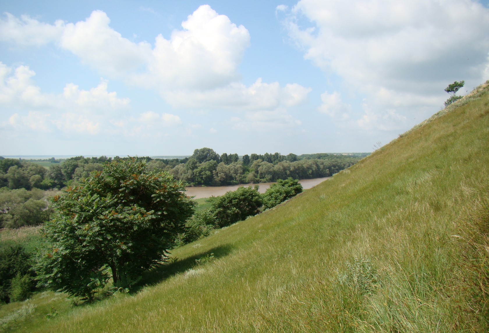 Станица Воронежская, image of landscape/habitat.