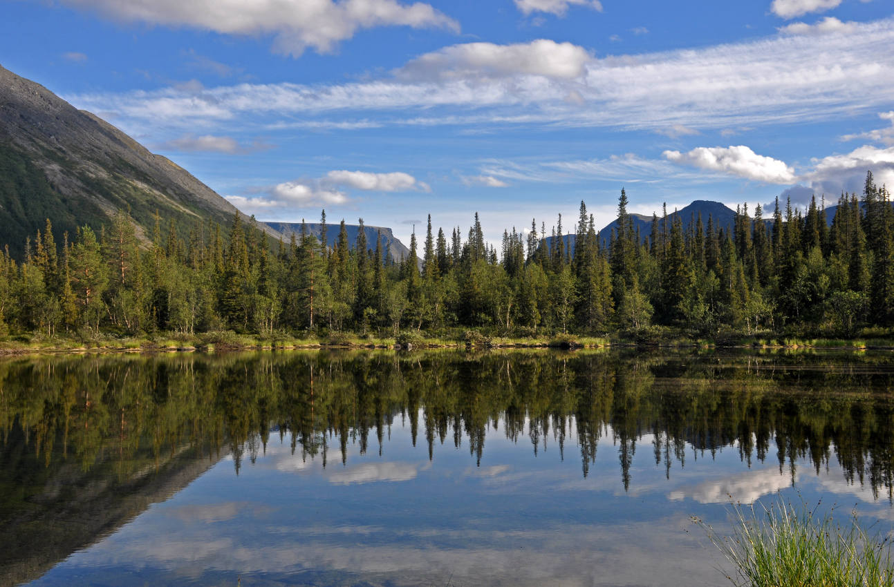 Долина реки Кунийок, image of landscape/habitat.