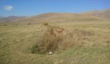 Image of landscape
