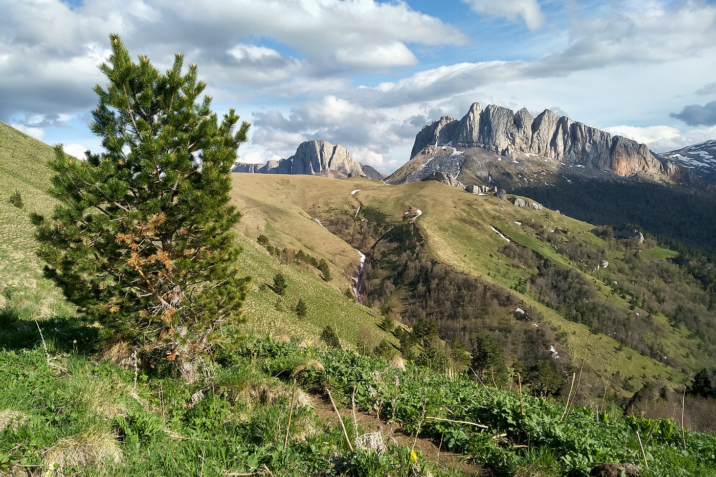 Чёртовы Ворота, image of landscape/habitat.