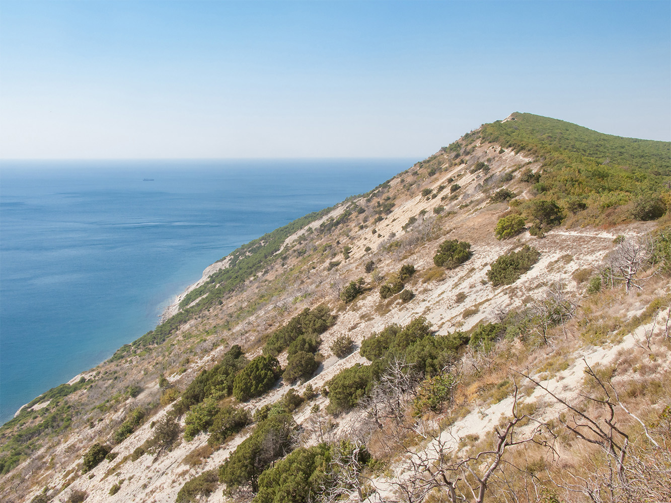 Приморские склоны у Варваровки, image of landscape/habitat.