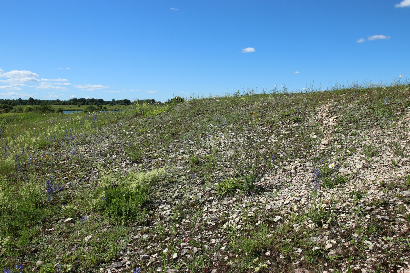 Кюрлевский карьер, image of landscape/habitat.