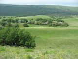 Беспутская поляна, image of landscape/habitat.