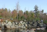 Японский сад в парке Галицкого, image of landscape/habitat.