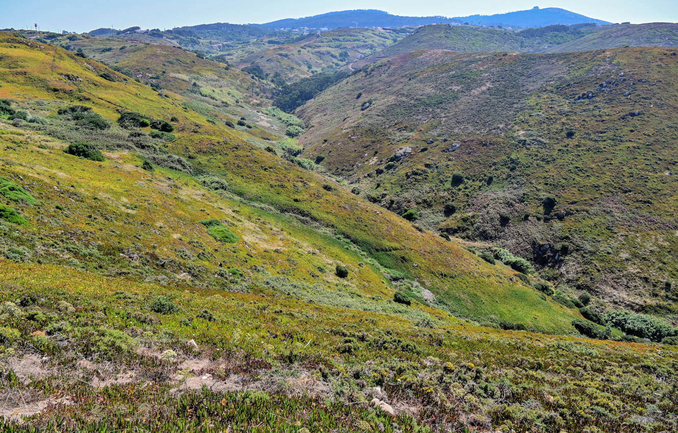 Мыс Рока, изображение ландшафта.