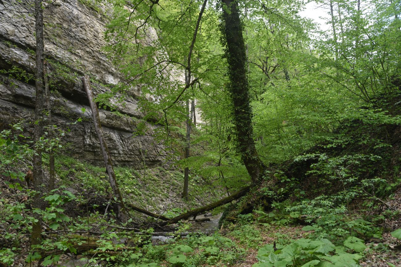 Два Водопада и окрестности, image of landscape/habitat.