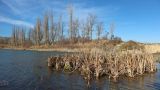 Станица Раевская и окрестности, image of landscape/habitat.