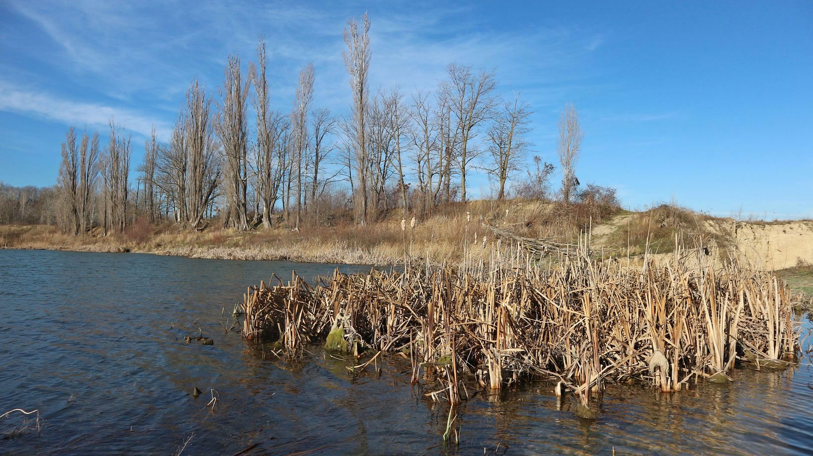 Станица Раевская и окрестности, image of landscape/habitat.
