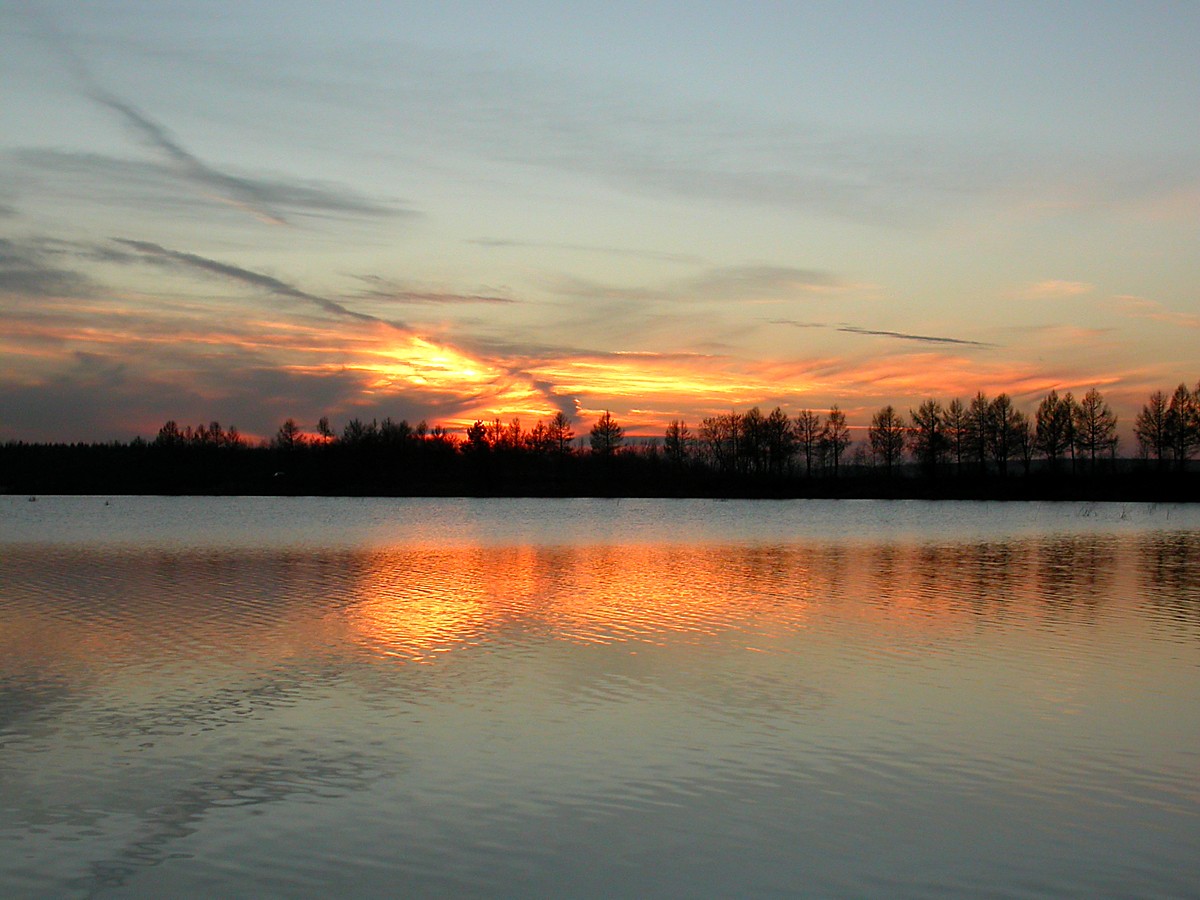 Низино, image of landscape/habitat.