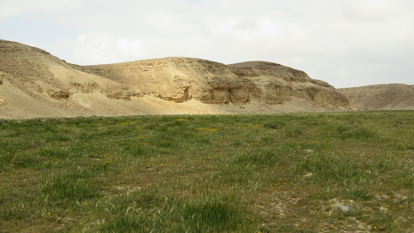 Верховья Нахаль-Хайун, image of landscape/habitat.