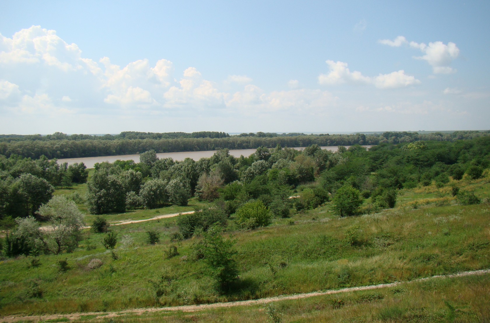 Станица Воронежская, image of landscape/habitat.