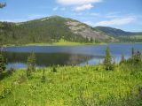 Image of landscape