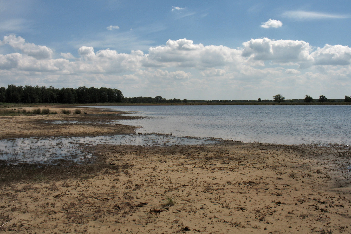 Dwingelderveld, изображение ландшафта.
