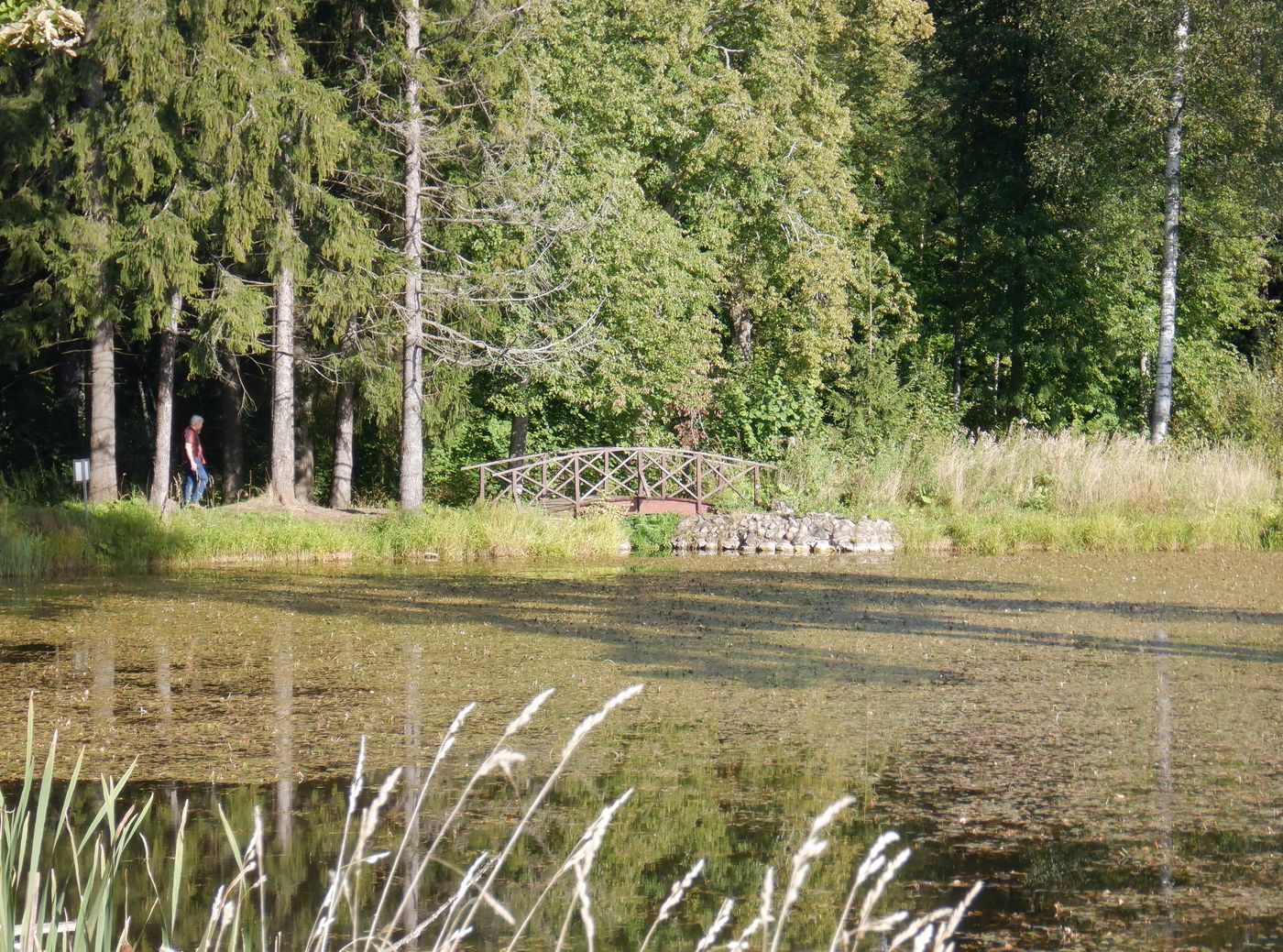 Знаменское-Раёк, image of landscape/habitat.