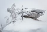 Каменный Город, image of landscape/habitat.